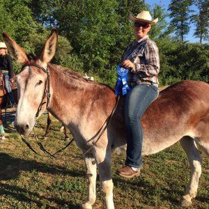 Meet your Posher, Alicia